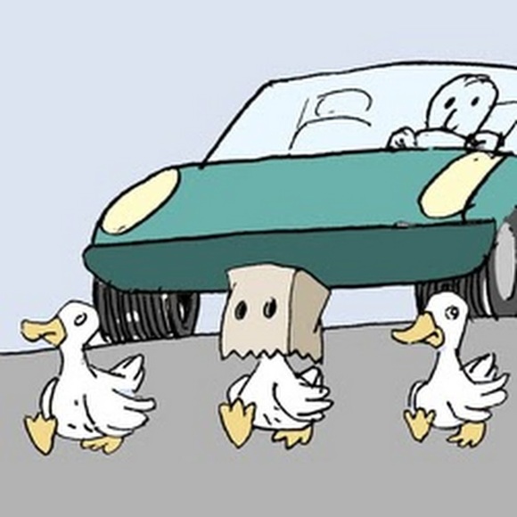 Meet your Posher, Tali - Picture 1 of 1